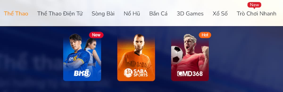 cá cược thể thao cùng bk8