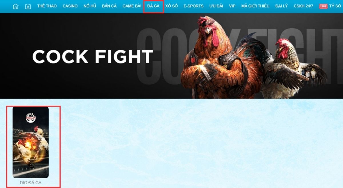 sảnh chơi đá gà jun88