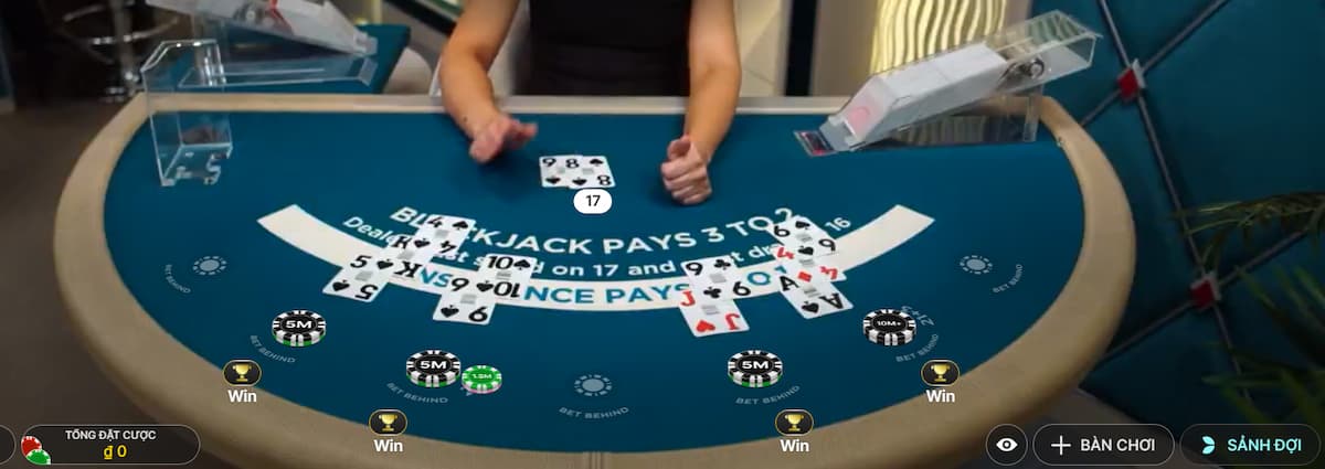 đặt cược vào blackjack 8xbet