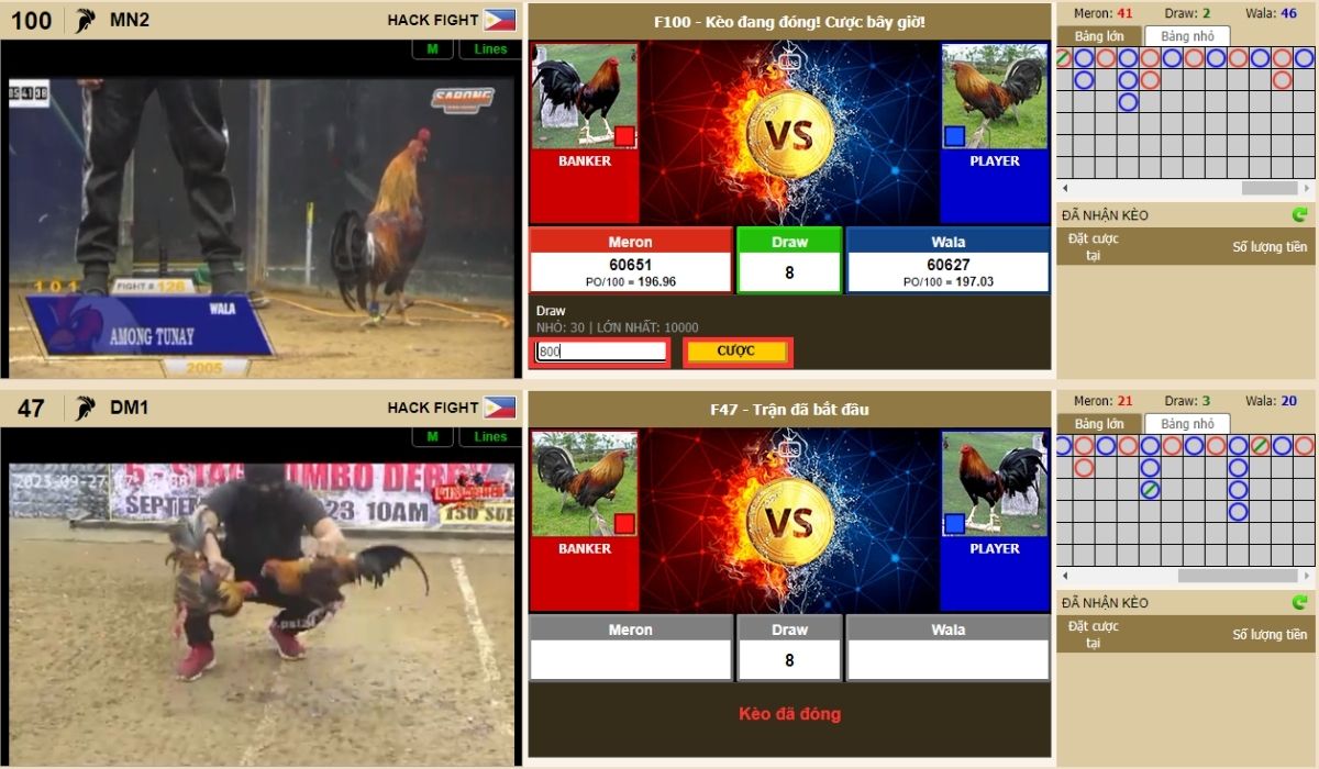 đặt cược vào đá gà jun88