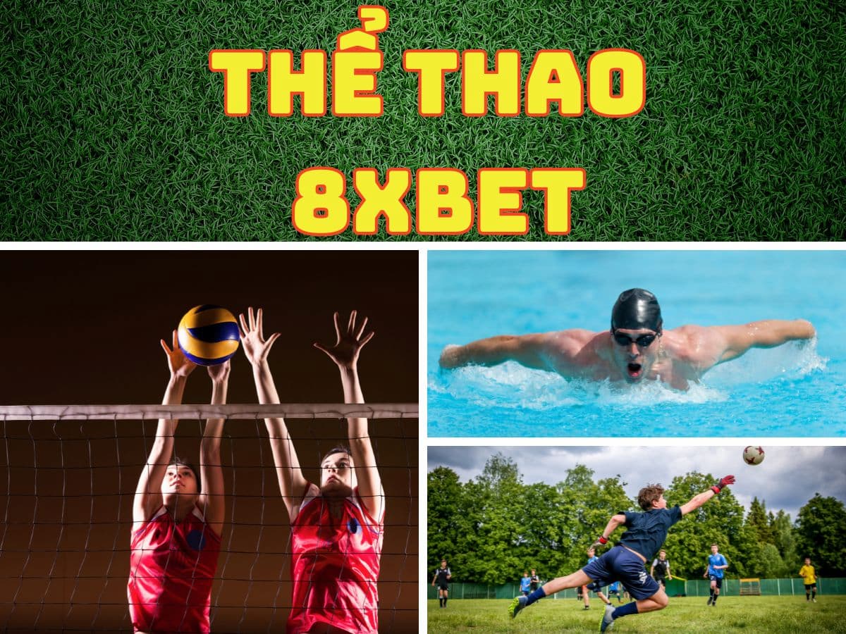 the thao 8xbet cá cược thể thao 8xbet