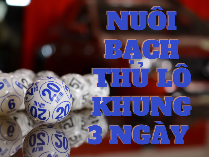 bạch thủ lô khung 3 ngày