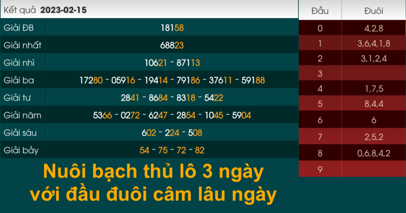 nuôi bạch thủ lô 3 ngày với đầu đuôi câm lâu ngày