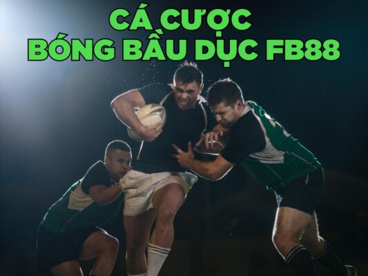 hướng dẫn cá cược bóng bầu dục fb88